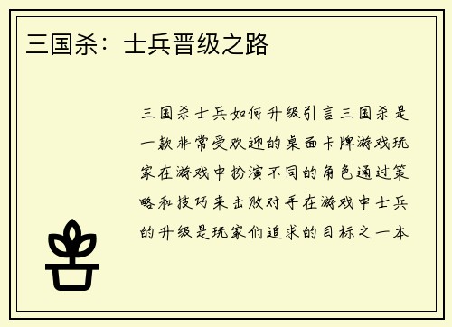 三国杀：士兵晋级之路