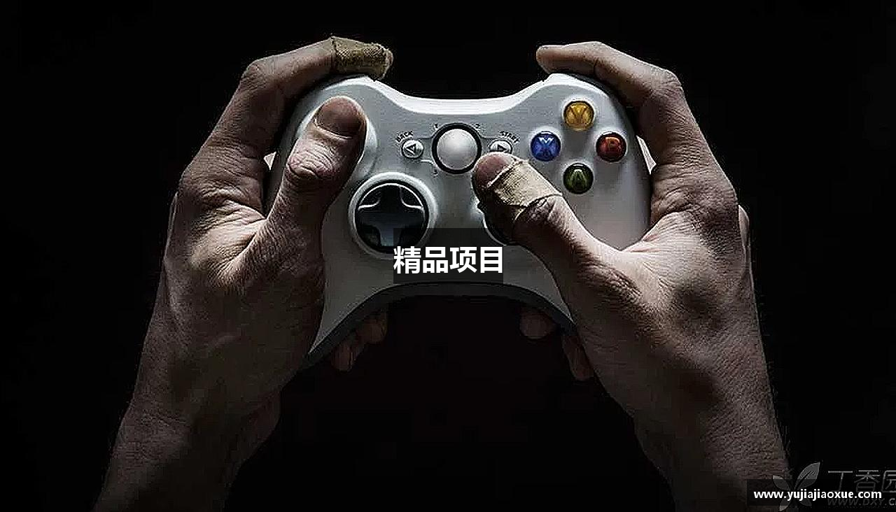 精品项目